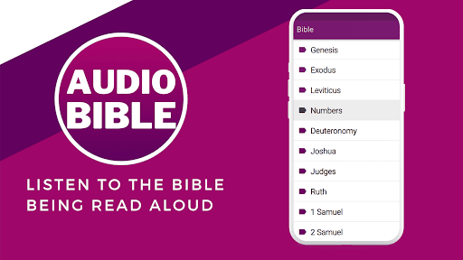 Audio Bible in English